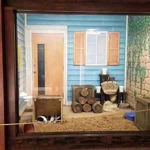 Columbus Zoo - Striped skunk