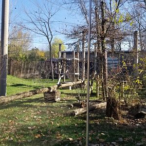 Columbus Zoo - Rest of cougar exhibit