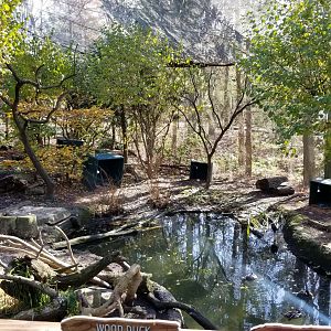 Columbus Zoo - Songbird aviary, duck area