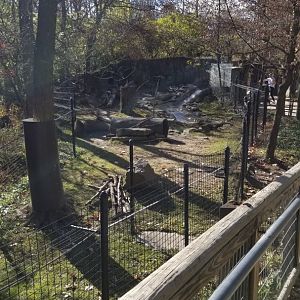 Columbus Zoo - American beaver exhibit