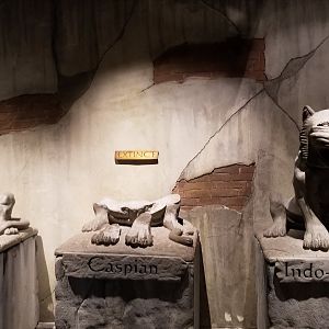 Columbus Zoo - Tiger subspecies statues