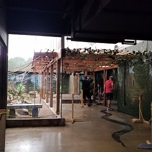 Columbus Zoo - Bat exhibit in front, water monitor far left, reticulated python on right