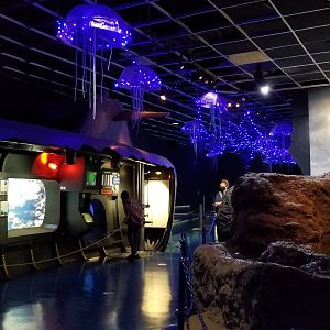 Columbus Zoo - Inside of aquarium