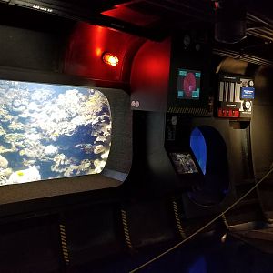 Columbus Zoo - Small tank area of aquarium