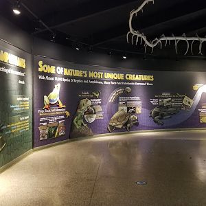 Columbus Zoo - Herp building - Inside entrance