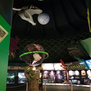 Columbus Zoo - Herp building - Turtle and frog area