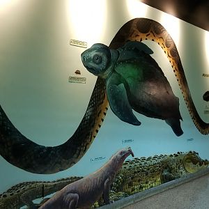 Columbus Zoo - Herp building - Mural