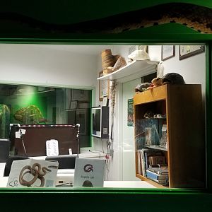 Columbus Zoo - Herp building - "Behind the scenes"