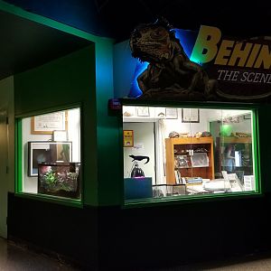 Columbus Zoo - Herp building - "Behind the scenes"