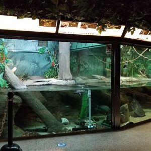 Columbus Zoo - Herp building - South american turtles