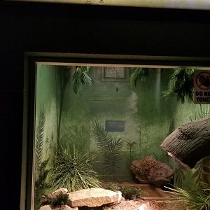 Columbus Zoo - Herp building - Western diamondback