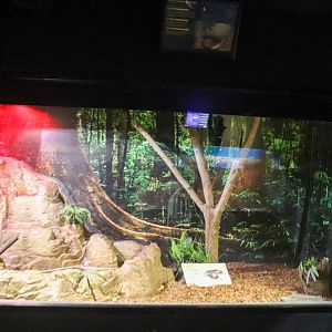 Nocturnal House - Water Python Enclosure