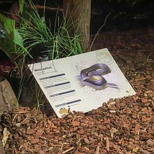 Water Python Sign