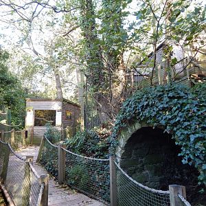 View towards Golden lion tamarin/Pygmy marmoset enclosure 021120