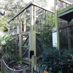 Yellow-breasted capuchin enclosures 021120
