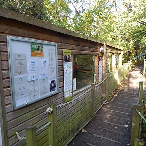 Red titi and Douroucouli enclosure 021120