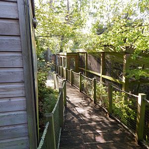 View towards Red titi enclosure 021120
