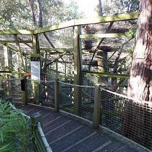 Squirrel monkey enclosure 021120