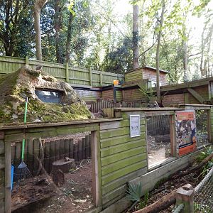 Meerkat enclosure 021120