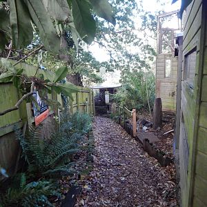 View towards Blue-throated conure aviary 021120