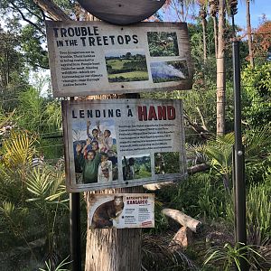 Matschie’s Tree Kangaroo signage