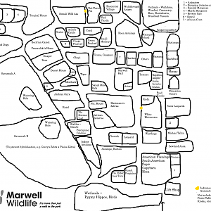 An Ideal Marwell map of mine