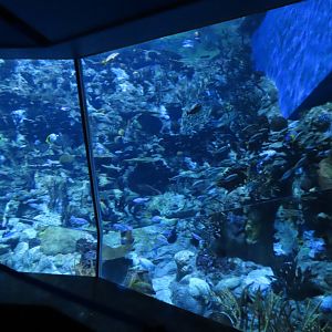 Aquarium