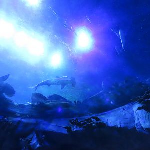 Aquarium viewed from bottom