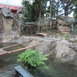 Otter exhibit