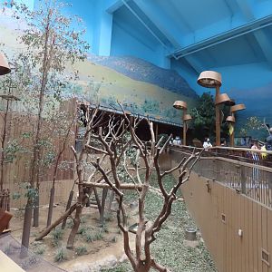 Australian exhibit 2