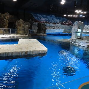 Exhibit for spotted seal