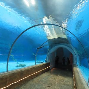 Underwater tunnel
