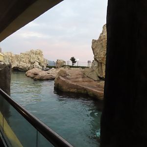 "Pacific coast" exhibit