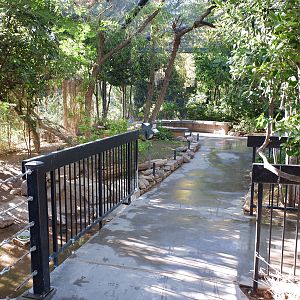 south america aviary