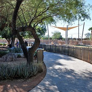 bush elephant exhibit