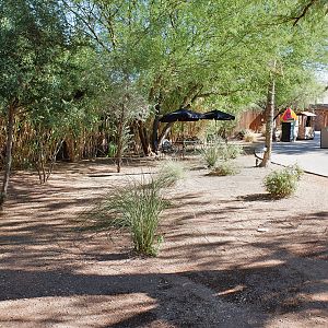rest area at elephant exhibit