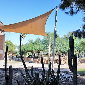 giraffe exhibit (with new shade)