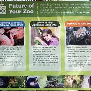 near future developments