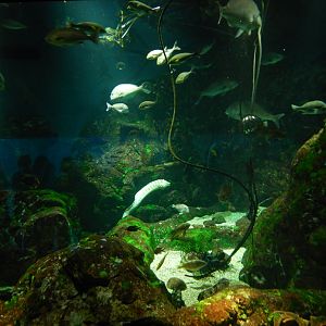 Seto Inland Sea Exhibit