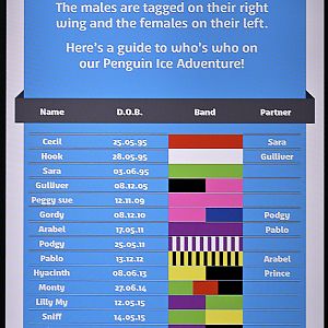 Penguin identification sign