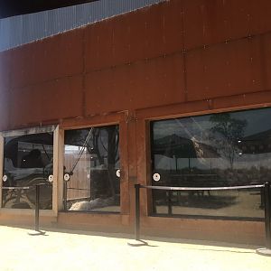 Orangutan indoor exhibit