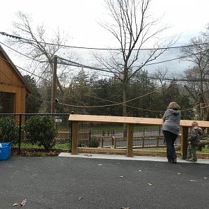 New Madagascar Exhibit - View From in Front of Barnyard