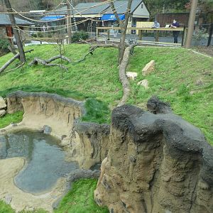 New Madagascar Exhibit - View Through Glass Viewing Window