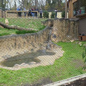New Madagascar Exhibit - Recirculating Pool
