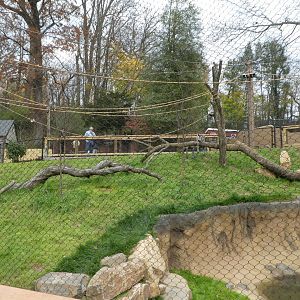 New Madagascar Exhibit - Climbing Structures