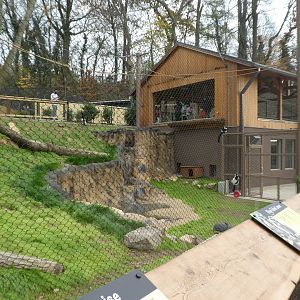 New Madagascar Exhibit - View From Lower Viewing Point