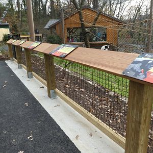 New Madagascar Exhibit - Signage