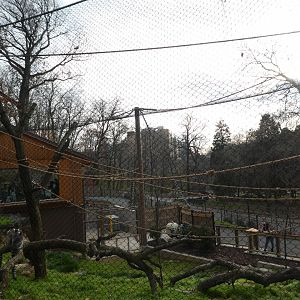 New Madagascar Exhibit - View From Near Wildlife Amphitheater