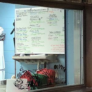 Big Cat Country Feeding Chart