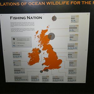 Signage about fishing in the UK